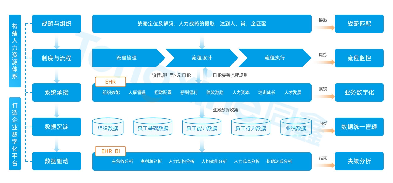 HR數字化系統